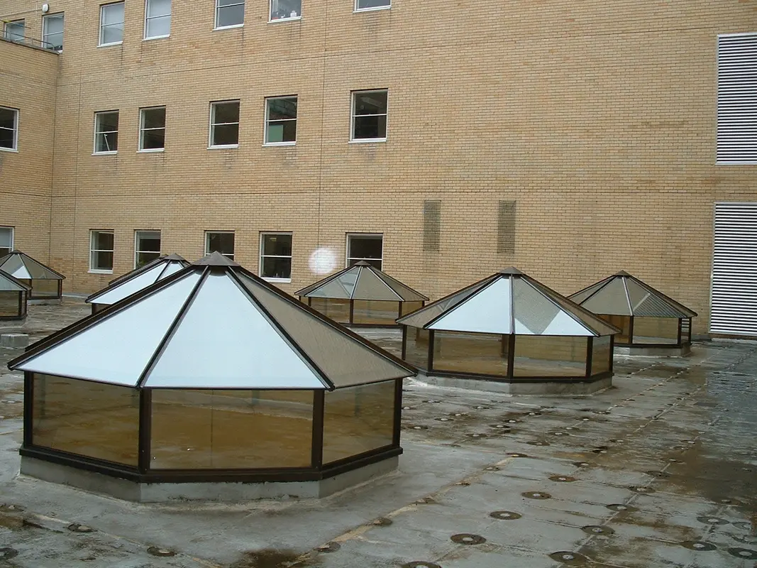 Flat Roof Skylights Lower Edmonton